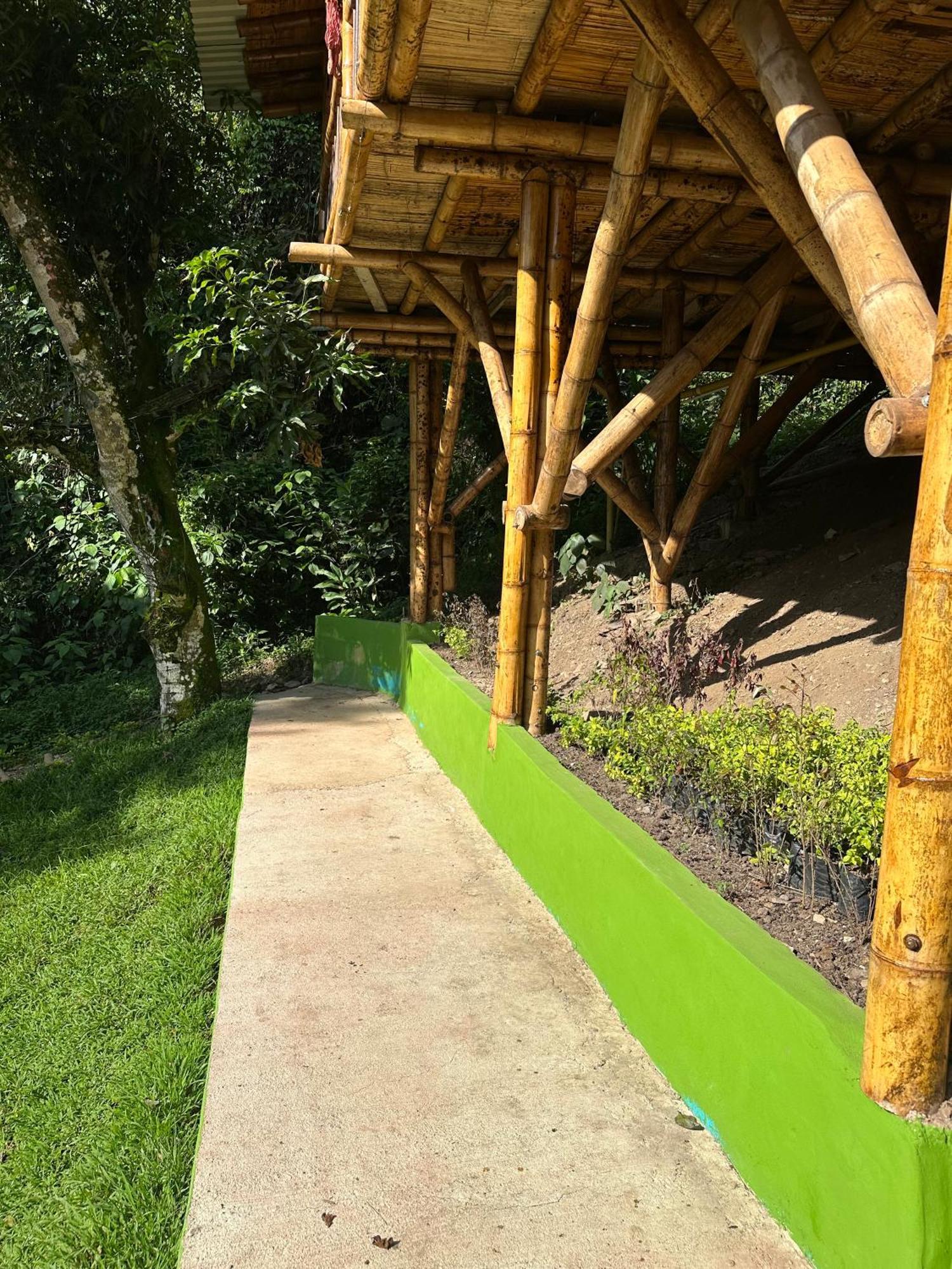 Ecohotel Monteverde Ла-Вега Екстер'єр фото