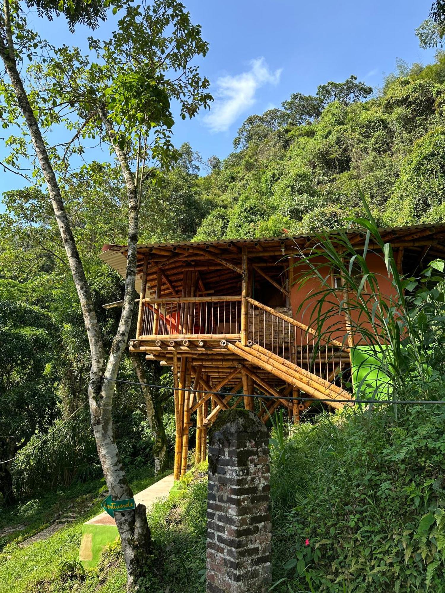 Ecohotel Monteverde Ла-Вега Екстер'єр фото