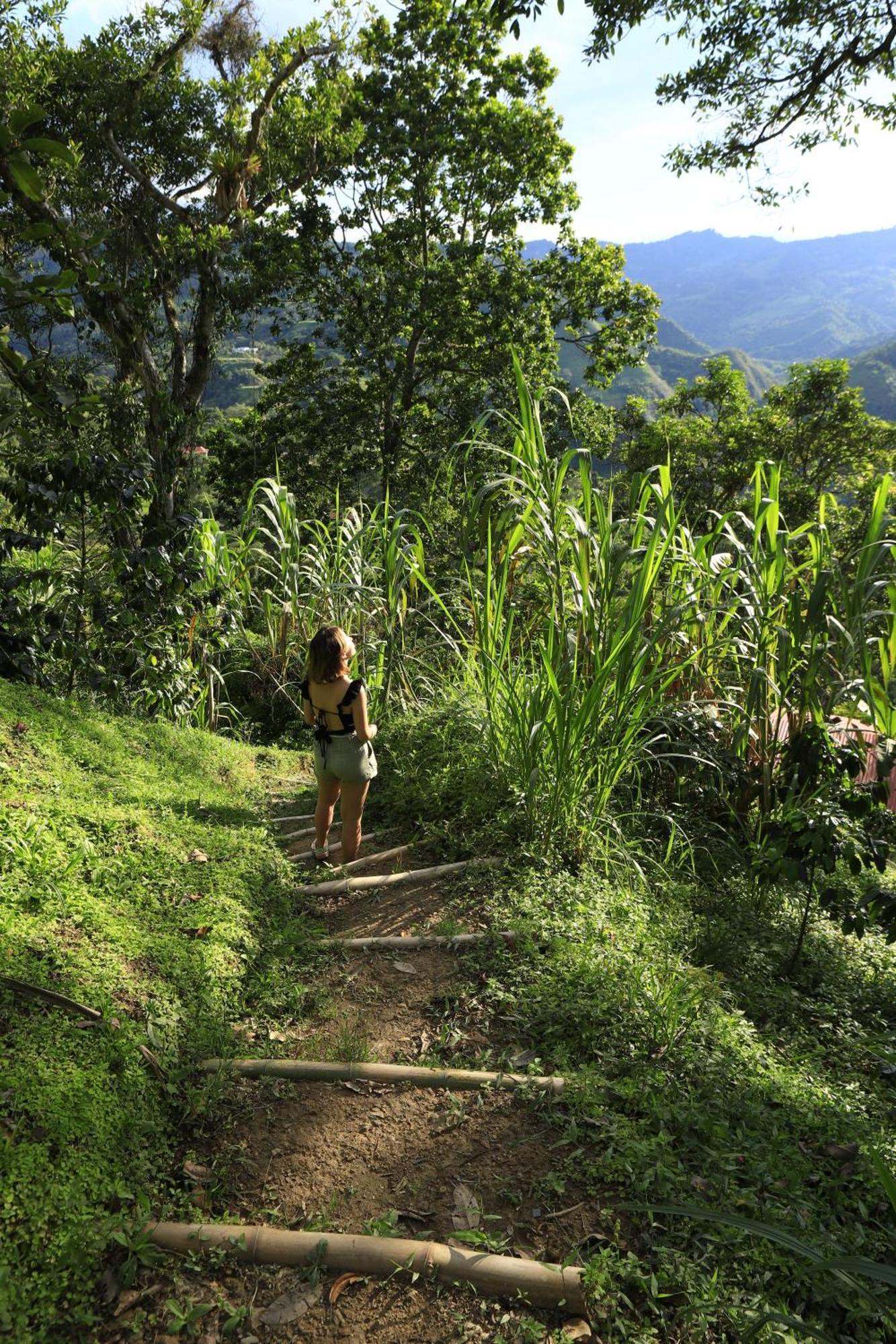 Ecohotel Monteverde Ла-Вега Екстер'єр фото
